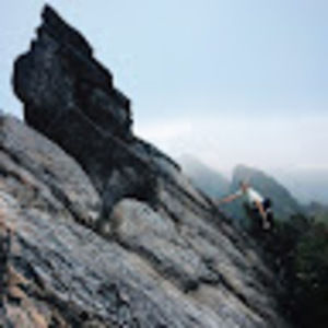 Meet your Posher, Jamison